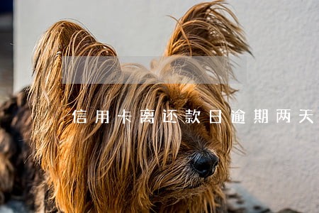 信用卡离还款日逾期两天