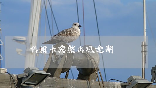 信用卡突然出现逾期