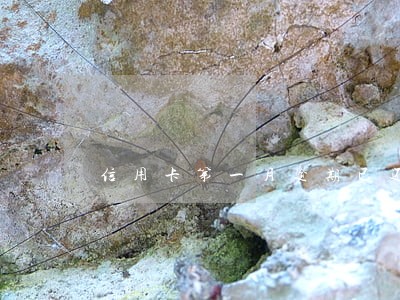 信用卡第一月逾期已还最低还款额 信用卡第一月逾期已还最低还款额