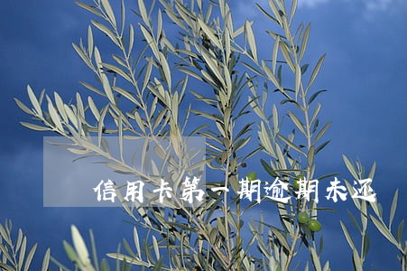 信用卡第一期逾期未还 信用卡第一期逾期未还