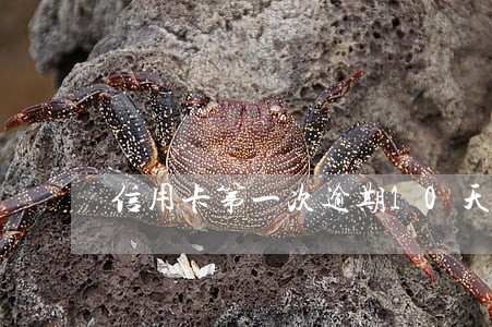 信用卡第一次逾期10天6 信用卡第一次逾期10天6