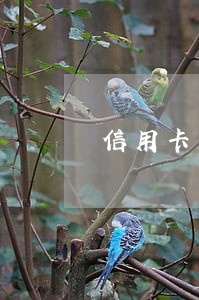 信用卡第一次逾期15天 信用卡第一次逾期15天