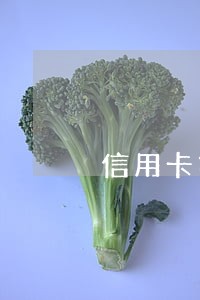 信用卡第一次逾期1天 信用卡第一次逾期1天