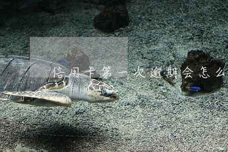 信用卡第一次逾期会怎么样