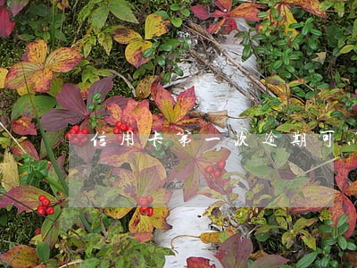 信用卡第一次逾期可以免收 信用卡第一次逾期可以免收