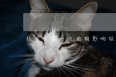 信用卡第一次逾期影响征信 信用卡第一次逾期影响征信