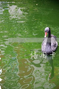 信用卡第一第二次逾期时间 信用卡第一第二次逾期时间