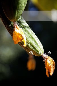 信用卡第三季度逾期率