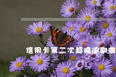 信用卡第二次超限逾期会怎么样 信用卡第二次超限逾期会怎么样