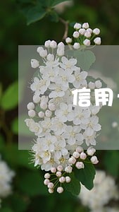 信用卡第四天还算逾期吗 信用卡第四天还算逾期吗