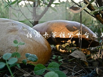 信用卡等信贷平台逾期 信用卡等信贷平台逾期