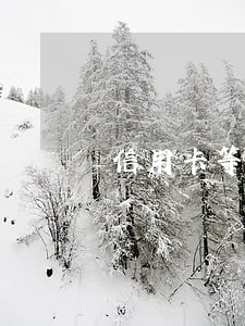 信用卡等逾期还是卖方 信用卡等逾期还是卖方