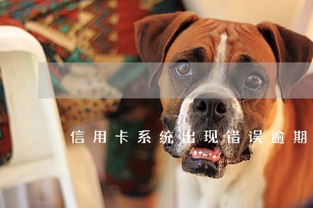 信用卡系统出现错误逾期了 信用卡系统出现错误逾期了