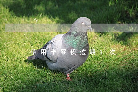 信用卡累积逾期3次 信用卡累积逾期3次