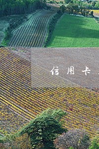 信用卡累计18次逾期
