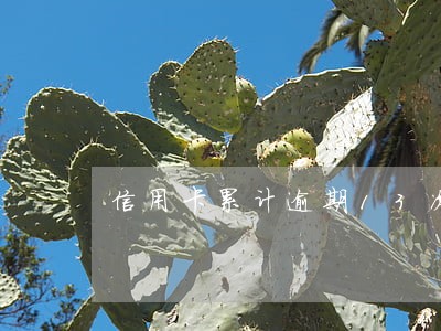信用卡累计逾期13次 信用卡累计逾期13次