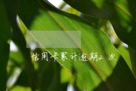 信用卡累计逾期2次