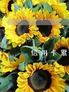 信用卡累计逾期3个月还是 信用卡累计逾期3个月还是