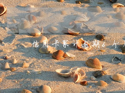 信用卡累计逾期6个月