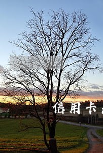 信用卡累计逾期几次 信用卡累计逾期几次