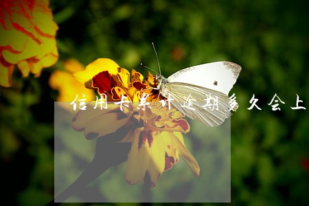 信用卡累计逾期多久会上征信 信用卡累计逾期多久会上征信
