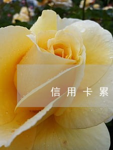 信用卡累计逾期是单卡 信用卡累计逾期是单卡