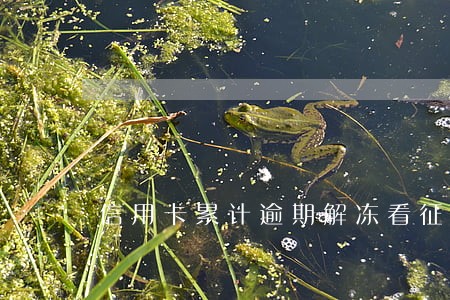 信用卡累计逾期解冻看征信吗 信用卡累计逾期解冻看征信吗