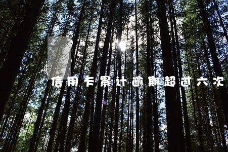 信用卡累计逾期超过六次