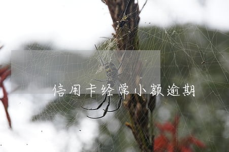 信用卡经常小额逾期 信用卡经常小额逾期