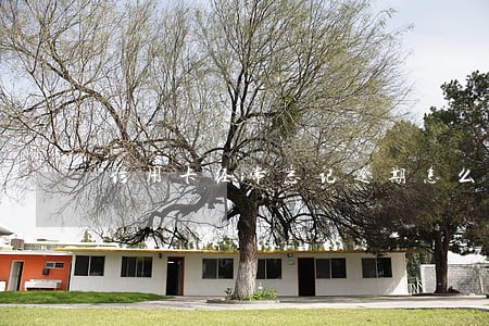 信用卡经常忘记逾期怎么办