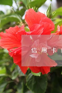 信用卡经常逾期大数据也花 信用卡经常逾期大数据也花