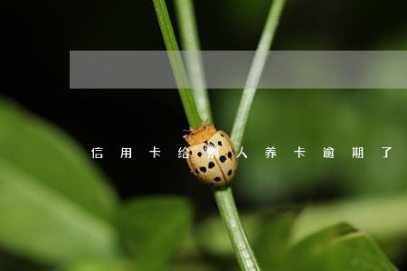 信用卡给别人养卡逾期了 信用卡给别人养卡逾期了