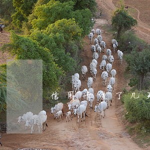 信用卡缓了几天算逾期吗 信用卡缓了几天算逾期吗