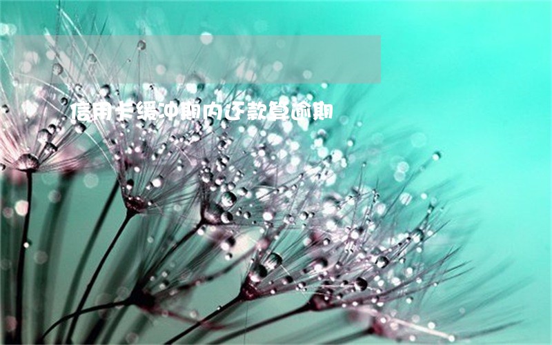 信用卡缓冲期内还款算逾期 信用卡缓冲期内还款算逾期