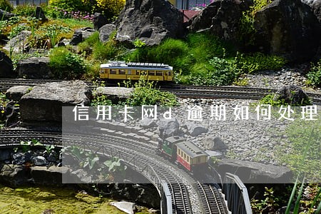 信用卡网d逾期如何处理 信用卡网d逾期如何处理