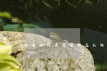 信用卡网商贷逾期怎么处理