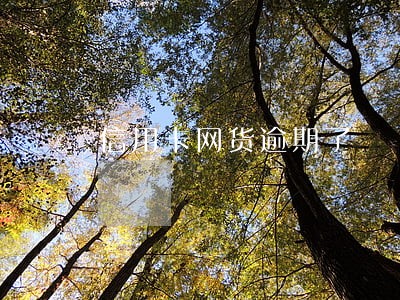 信用卡网货逾期了