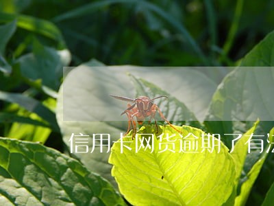 信用卡网货逾期了有法律援助吗 信用卡网货逾期了有法律援助吗