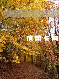 信用卡网贷26万逾期怎么办 信用卡网贷26万逾期怎么办