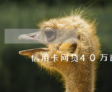 信用卡网贷40万逾期一年 信用卡网贷40万逾期一年