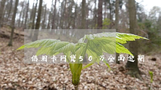 信用卡网贷50万全面逾期 信用卡网贷50万全面逾期