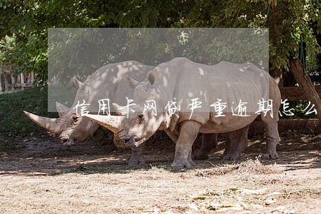 信用卡网贷严重逾期怎么办
