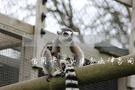 信用卡网贷债务法律咨询 信用卡网贷债务法律咨询