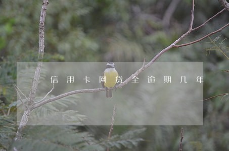 信用卡网贷全逾期几年 信用卡网贷全逾期几年