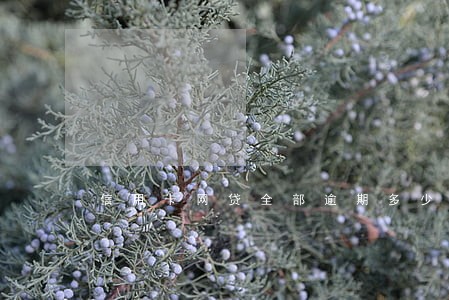 信用卡网贷全部逾期多少会坐牢 信用卡网贷全部逾期多少会坐牢