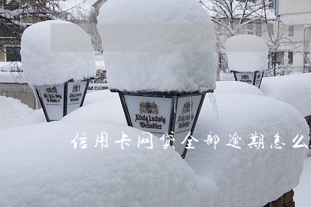 信用卡网贷全部逾期怎么强制上岸 信用卡网贷全部逾期怎么强制上岸