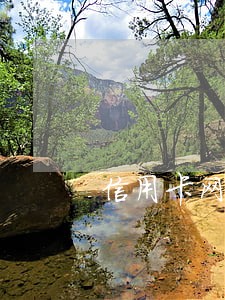信用卡网贷全部逾期该怎么办 信用卡网贷全部逾期该怎么办