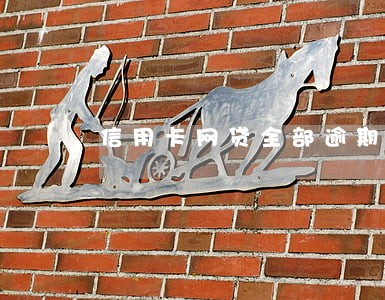 信用卡网贷全部逾期跑路 信用卡网贷全部逾期跑路