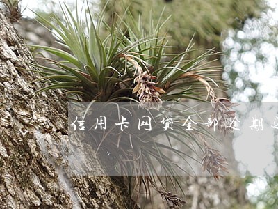 信用卡网贷全部逾期还能贷吗 信用卡网贷全部逾期还能贷吗