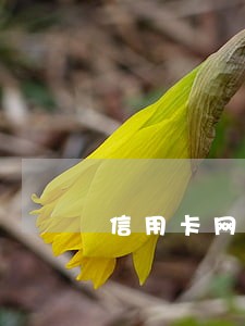 信用卡网贷全面逾期两年 信用卡网贷全面逾期两年